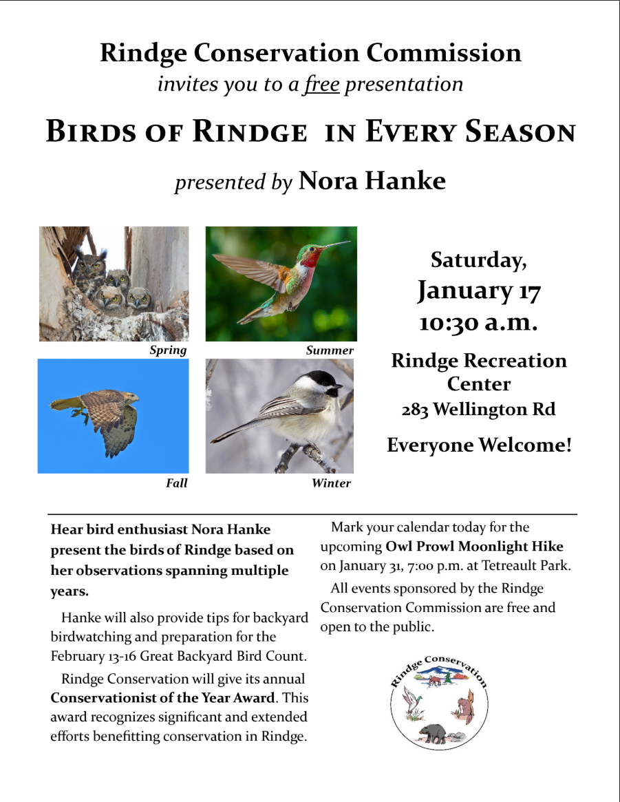Birds Talk Flier